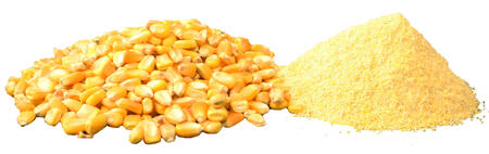 corn before and after hammer mill processing corn before and after hammer mill processing